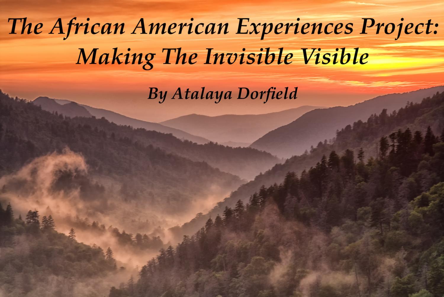  The African American Experiences Project: Making the Invisible Visible