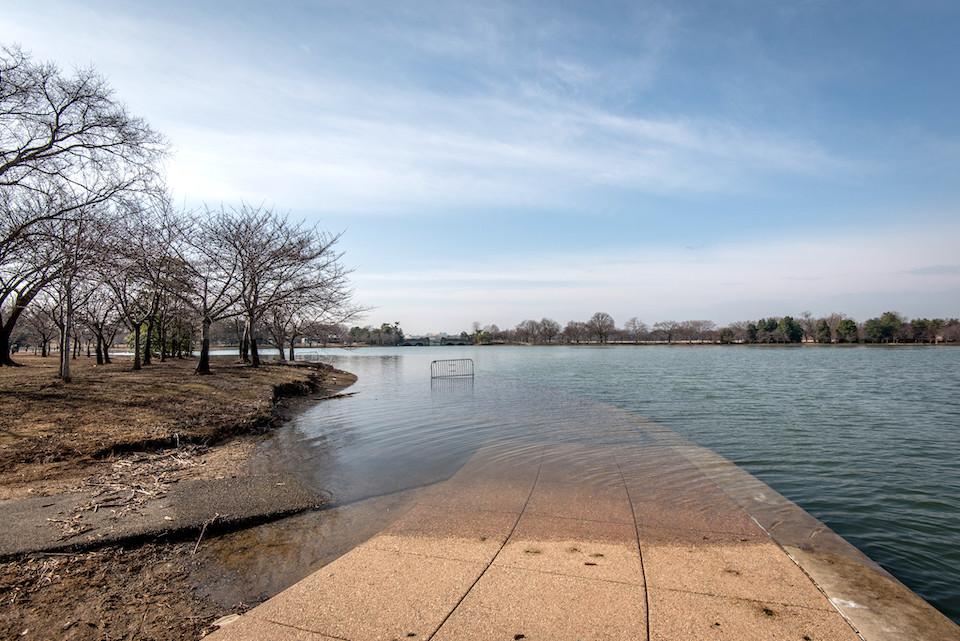 Ebb and flow of tides floods portions of the National Mall/NTHP, Sam Kittner