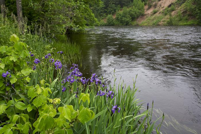 The Namekagon River, a tributary of the St. Croix in St. Croix National Scenic Riverway in Wisconsin, shows its colors in spring / Tim Palmer