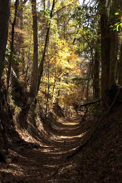 Natchez Trace path Natchez Trace path