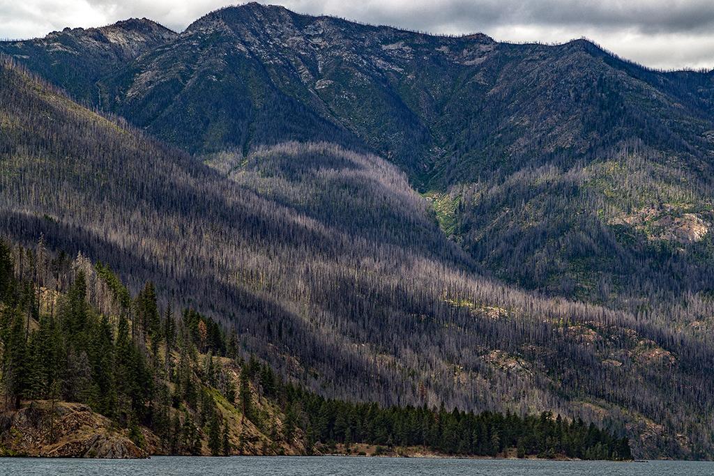 North Cascades scenery along the Lake Chelan National Recreation Area, North Cascades Complex / Rebecca Latson