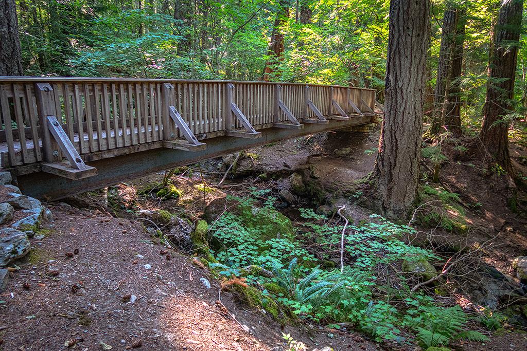 Where will that trail bridge take you? Ross Lake National Recreation Area, North Cascades Complex / Rebecca Latson