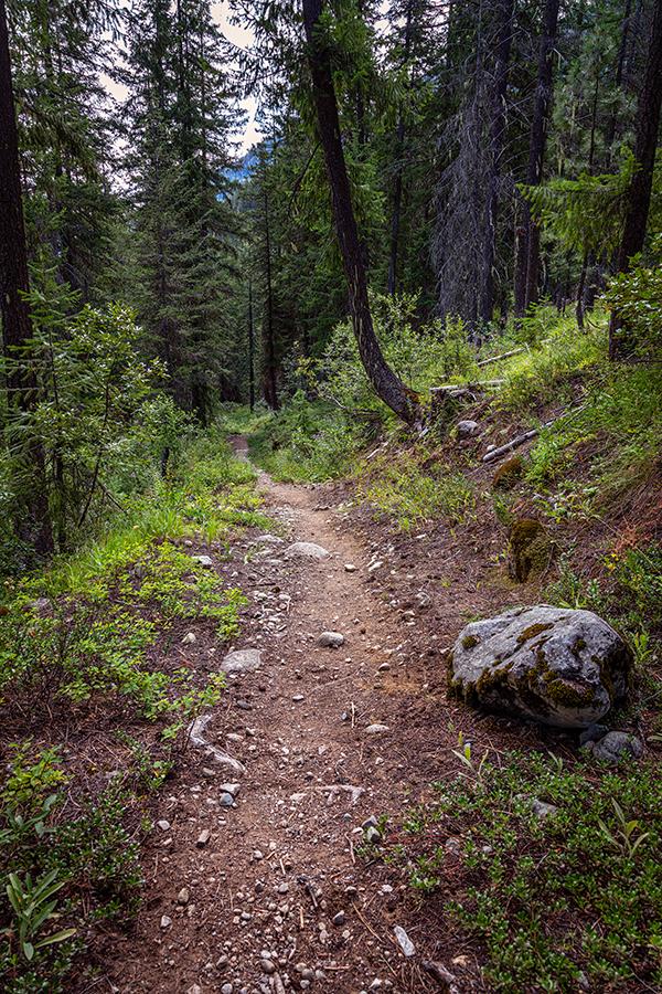The Pacific Crest Trail (PCT), North Cascades National Park, North Cascades Complex / Rebecca Latson
