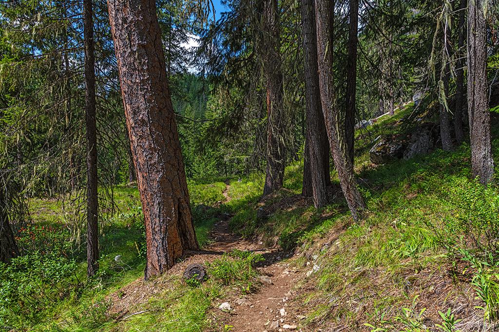Where will the PCT lead you? North Cascades Complex / Rebecca Latson