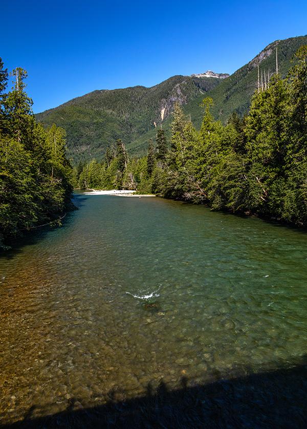 The view down the Skagit River, North Cascades National Park, North Cascades Complex / Rebecca Latson
