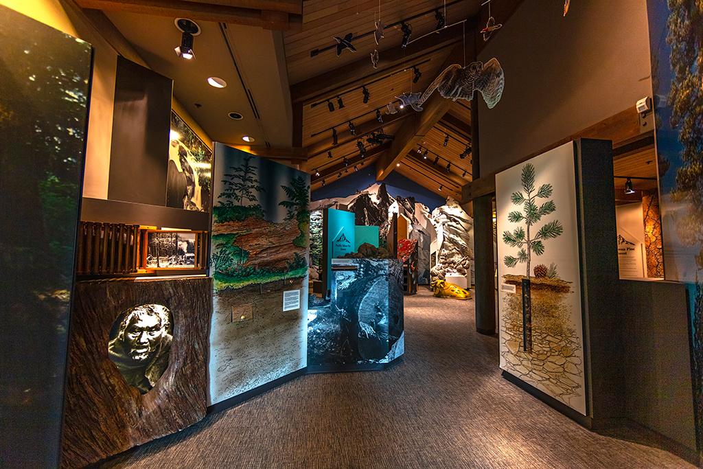Inside the North Cascades National Park visitor center, North Cascades Complex / Rebecca Latson