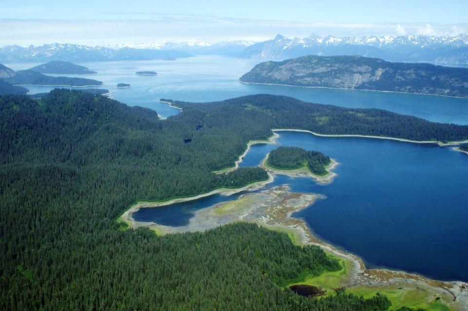 Berg Bay in Glacier Bay National Park and Preserve/NPS
