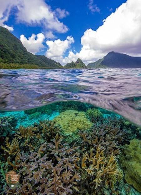 Coral reefs at Ofu Island in National Park of American Samoa/NPS