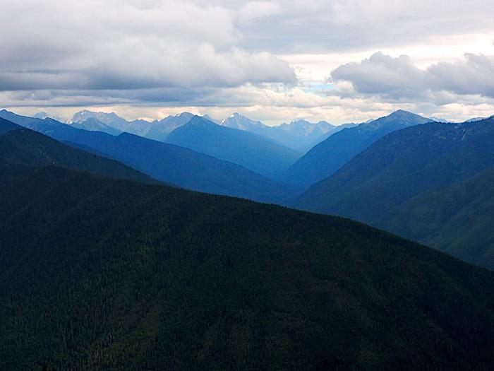 The "worthless" interior of Olympic National Park