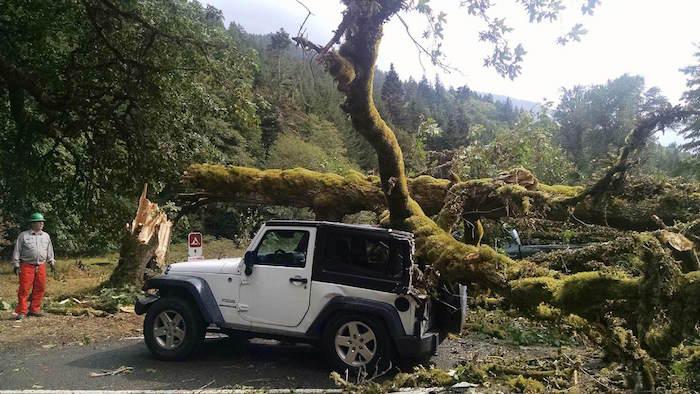 Storm damage at Olympic National Park/NPS