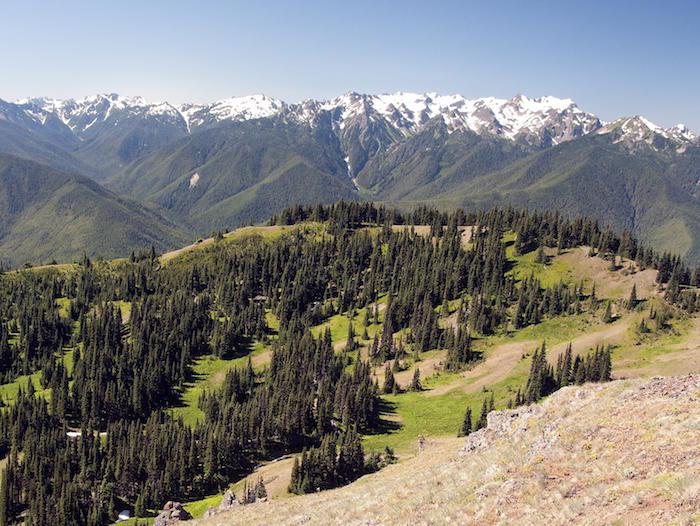 View from Hurricane Hill at Olympic National Park/NPS