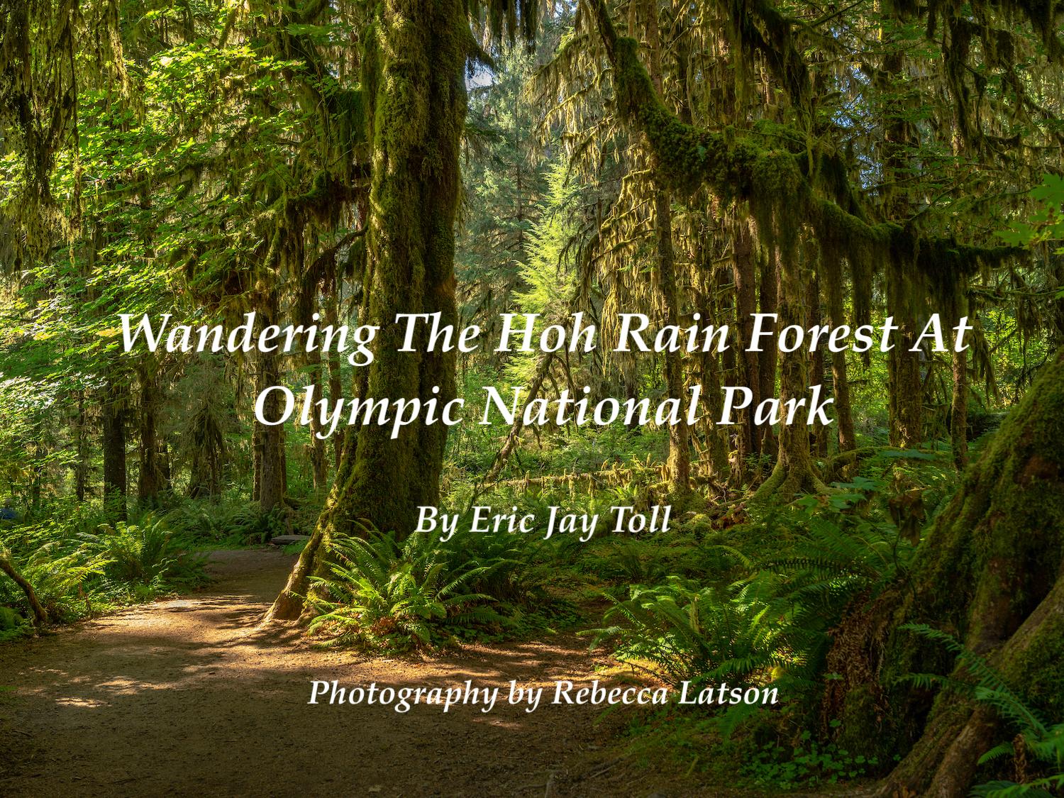 Wandering the Hoh Rain Forest at Olympic National Park