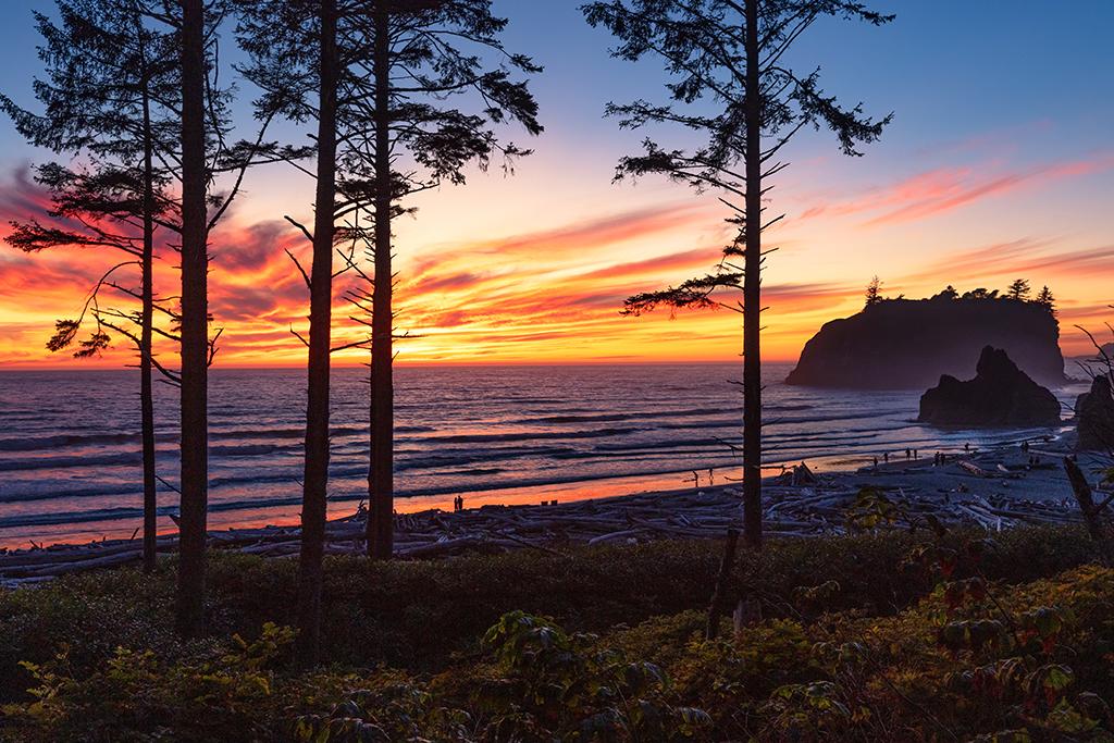 Sunset's afterglow at Ruby Beach, Olympic National Park / Rebecca Latson