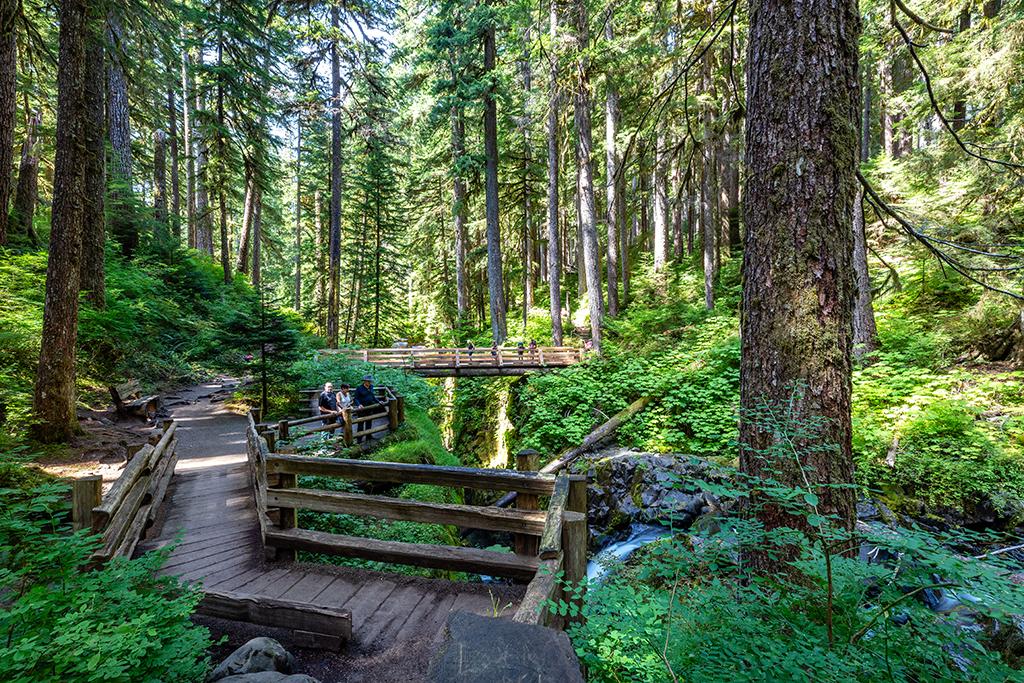 Visitors enjoying the view at Sol Duc Falls, Olympic National Park / Rebecca Latson