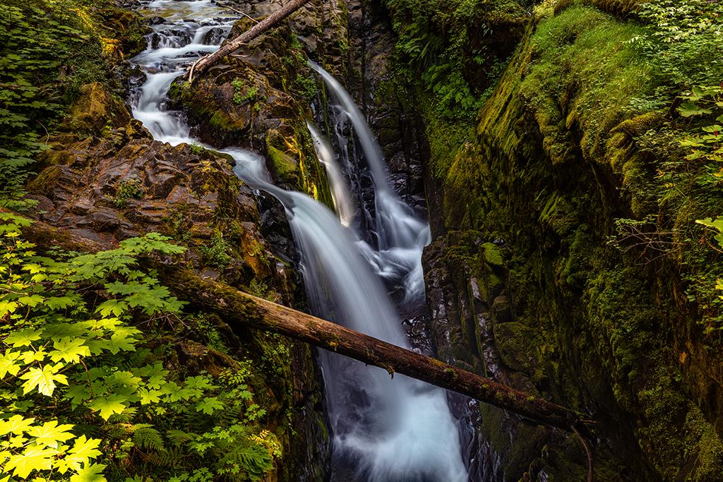 A horizontal vision of Sol Duc Falls, Olympic National Park / Rebecca Latson