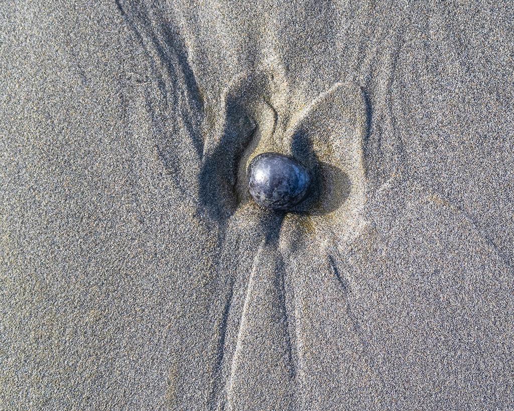 A beach "butterfly," Olympic National Park / Rebecca Latson