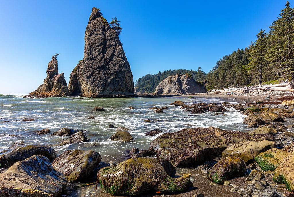 Sea stack scenery at Rialto Beach, Olympic National Park / Rebecca Latson