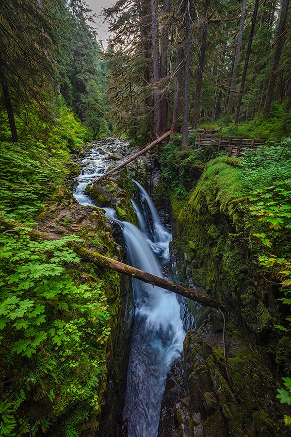 An early morning view of Sol Duc Falls, Olympic National Park / Rebecca Latson