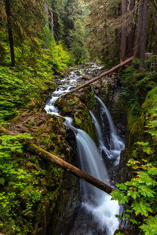 Sol Duc Falls at a different angle, Olympic National Park / Rebecca Latson