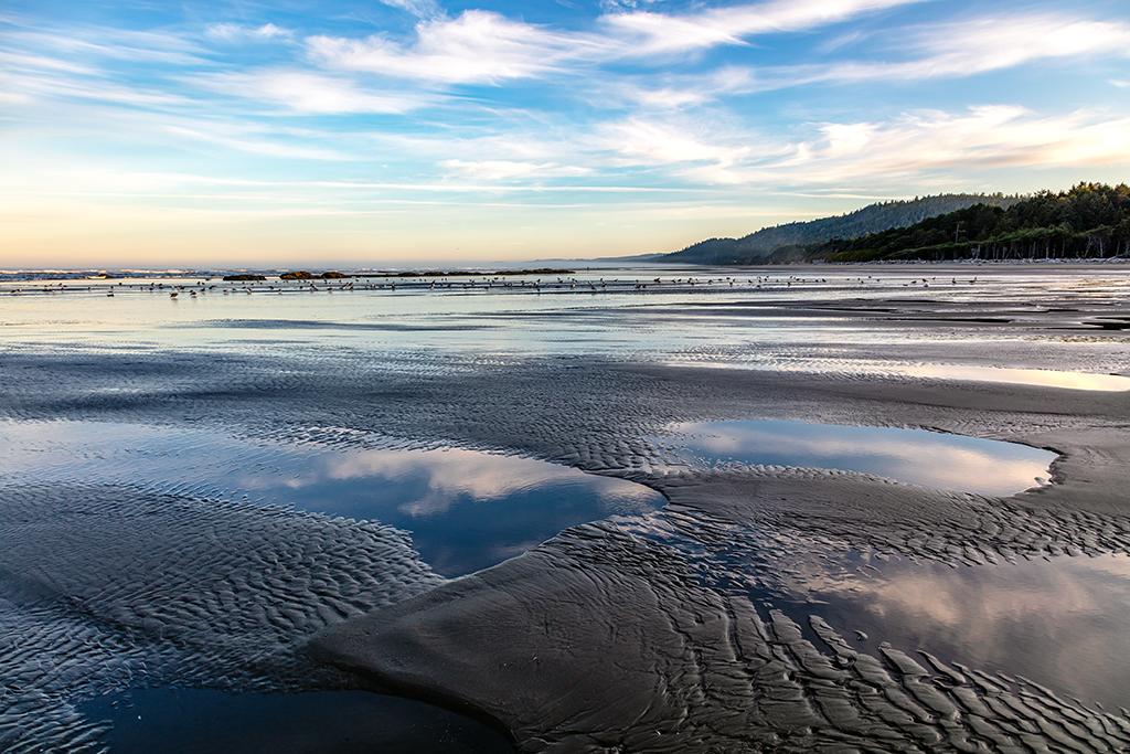 Morning low tide scenery along Kalaloch Beach, Olympic National Park / Rebecca Latson