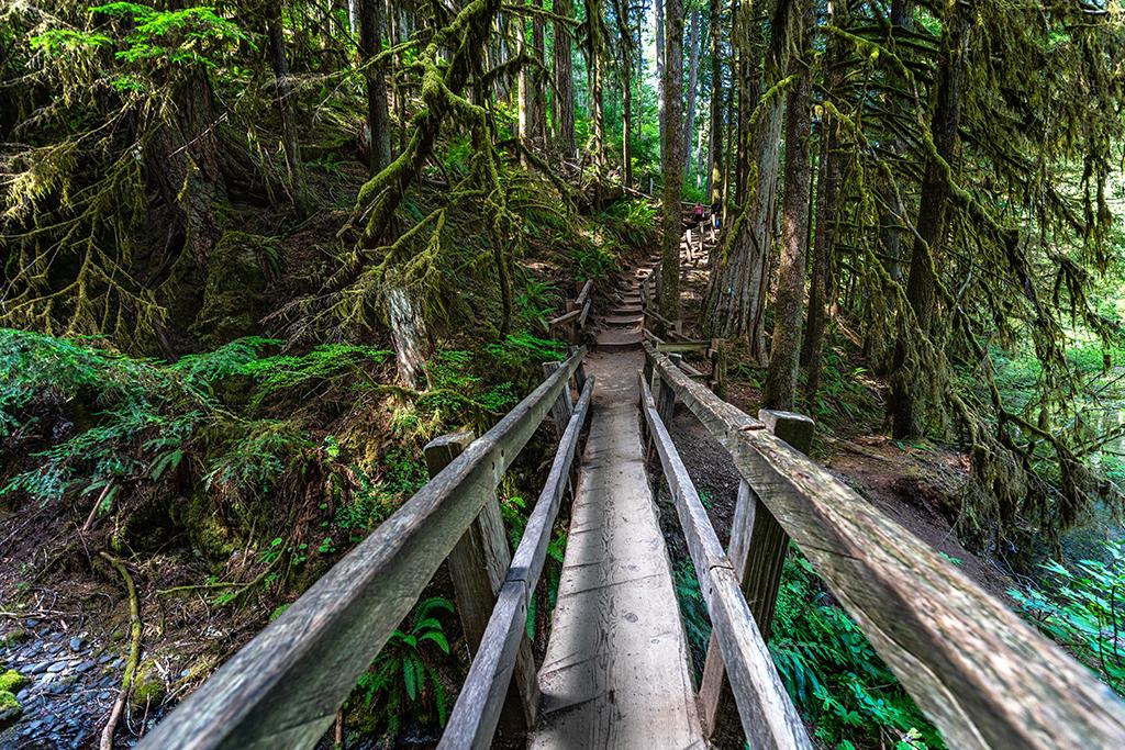 Over the bridge and up the steps toward Marymere Falls, Olympic National Park / Rebecca Latson