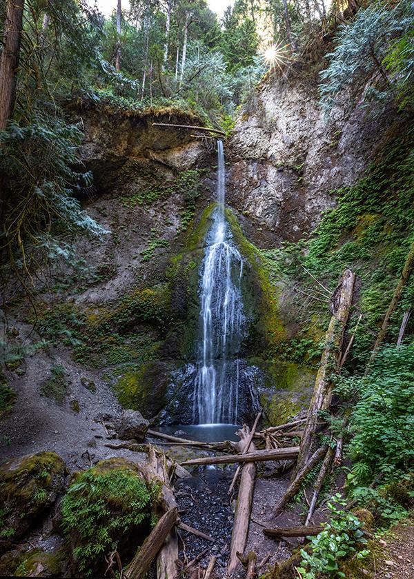 A lower-level view of Marymere Falls, Olympic National Park / Rebecca Latson