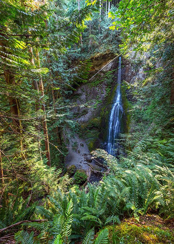 An upper-level view of Marymere Falls, Olympic National Park / Rebecca Latson