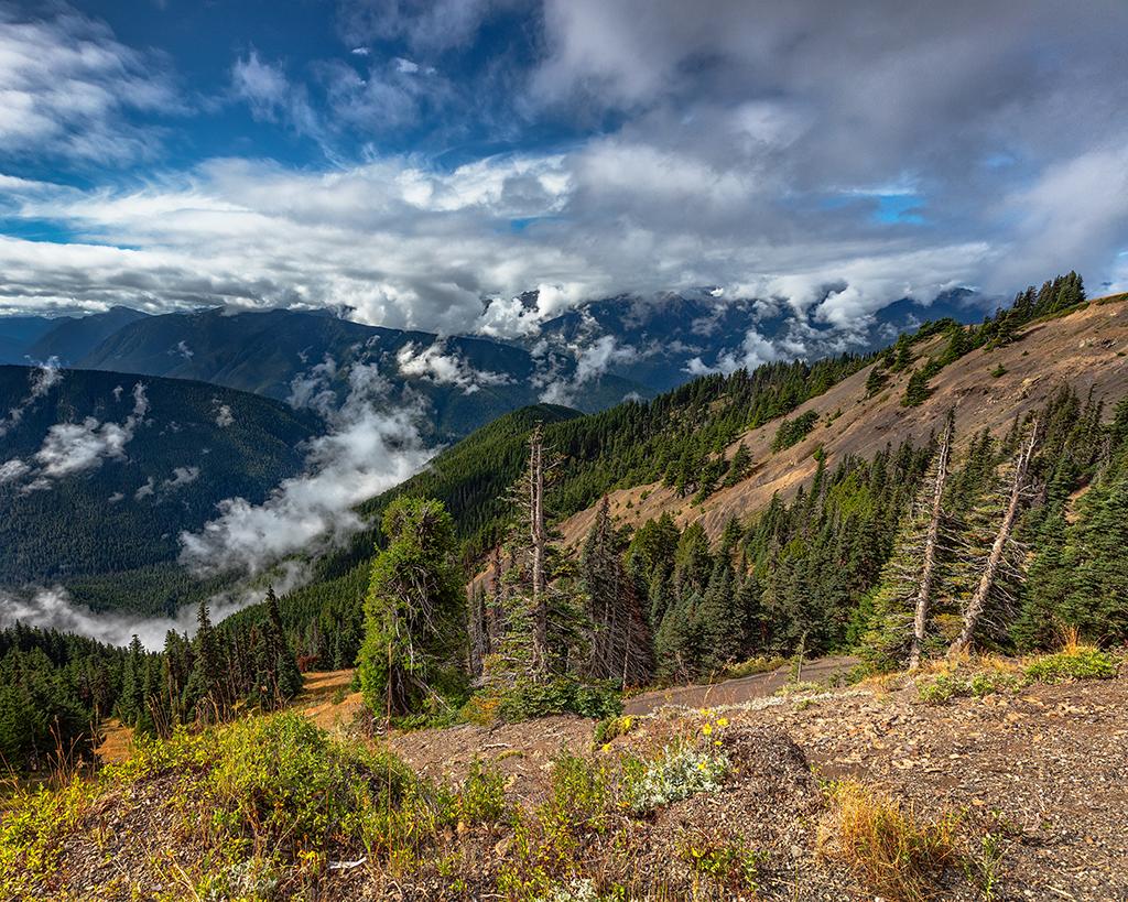 Olympic mountain scenery, Olympic National Park / Rebecca Latson