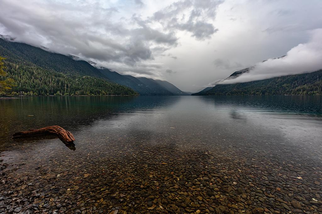 A different perspective of that log in the lake, Olympic National Park / Rebecca Latson