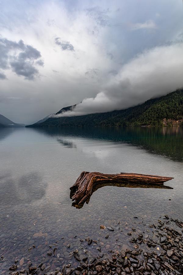 A vertical shot of that log in the lake, Olympic National Park / Rebecca Latson