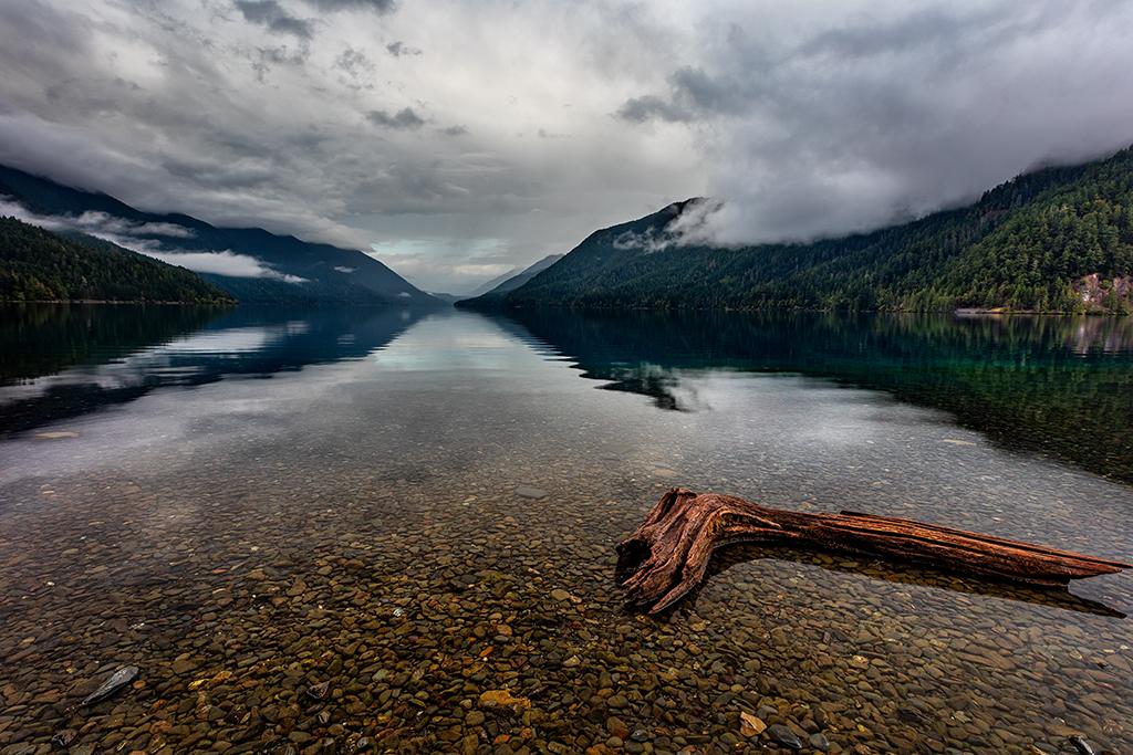The log in the lake, Olympic National Park / Rebecca Latson
