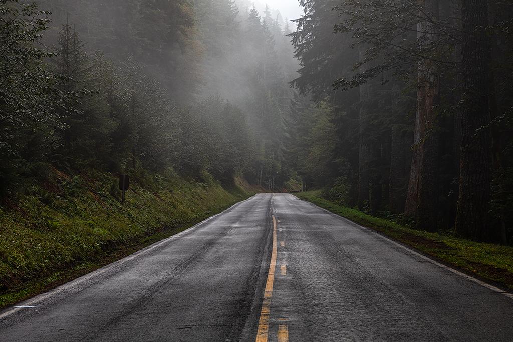 Where will that road take you? Olympic National Park / Rebecca Latson
