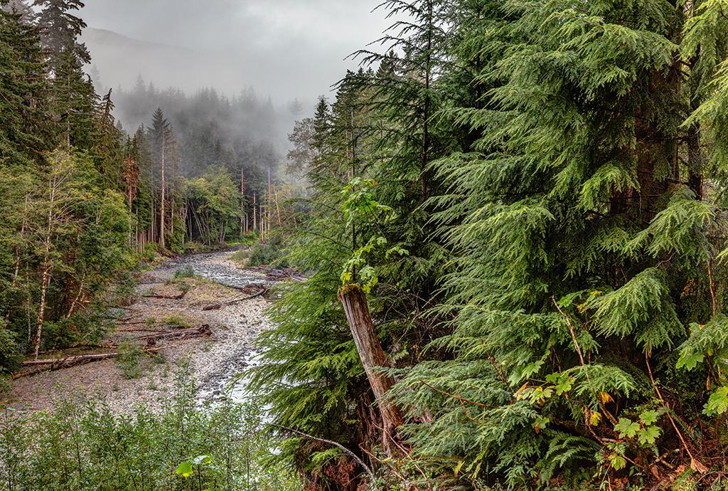 A downriver view of the Sol Duc River, Olympic National Park / Rebecca Latson