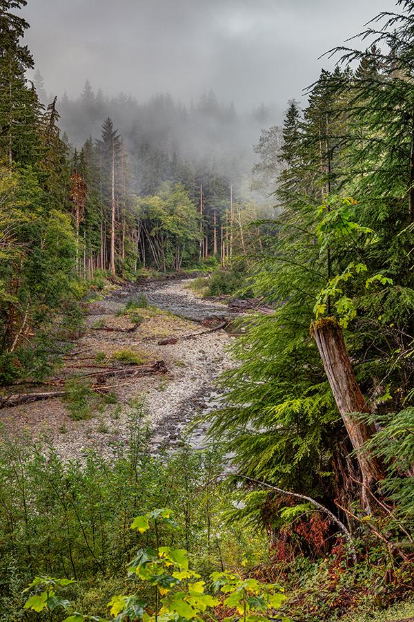 A dreamy morning along the Sol Duc River, Olympic National Park / Rebecca Latson