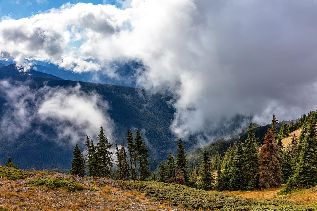Cloudy scenery along High Ridge trail, Olympic National Park / Rebecca Latson