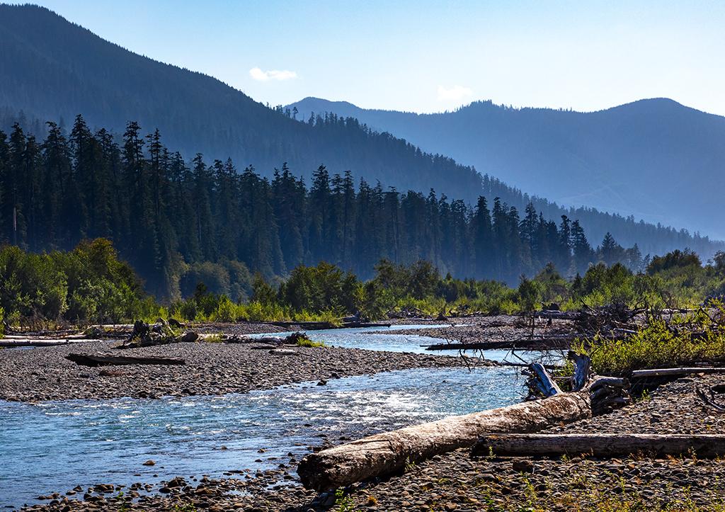 The Hoh downriver, Olympic National Park / Rebecca Latson