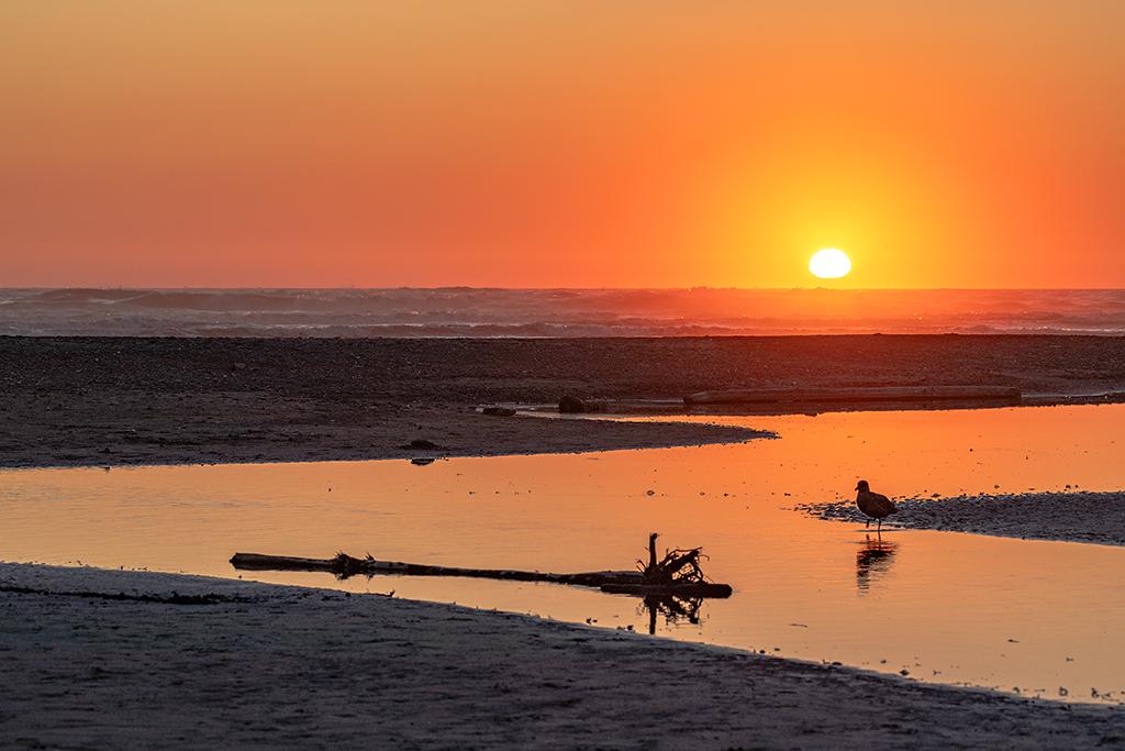 A telephoto sunset at Kalaloch Beach, Olympic National Park / Rebecca Latson