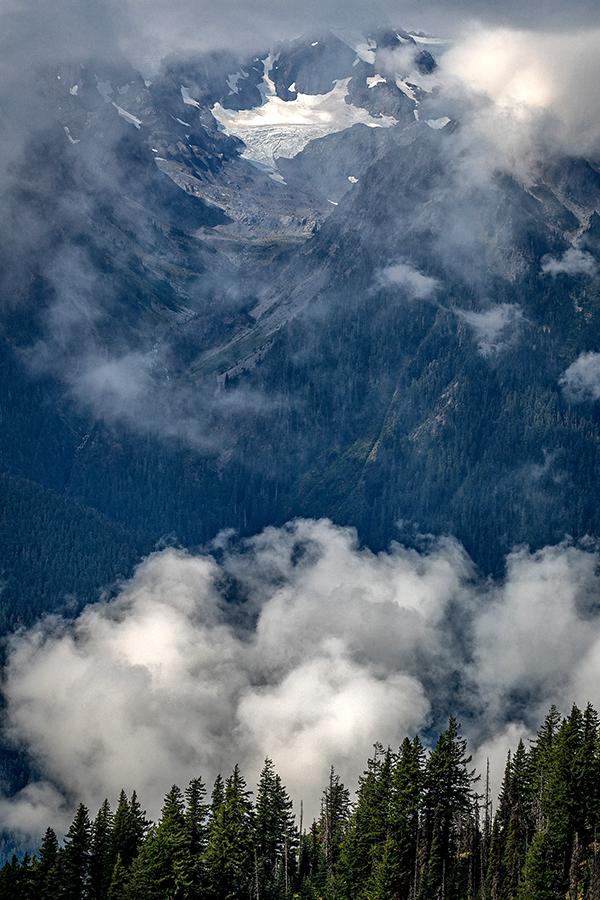 Forest, clouds, mountain and glacier, Hurricane Ridge, Olympic National Park / Rebecca Latson