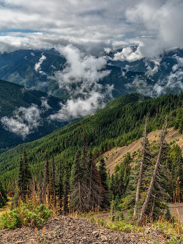 Hurricane Ridge scenery, Olympic National Park / Rebecca Latson