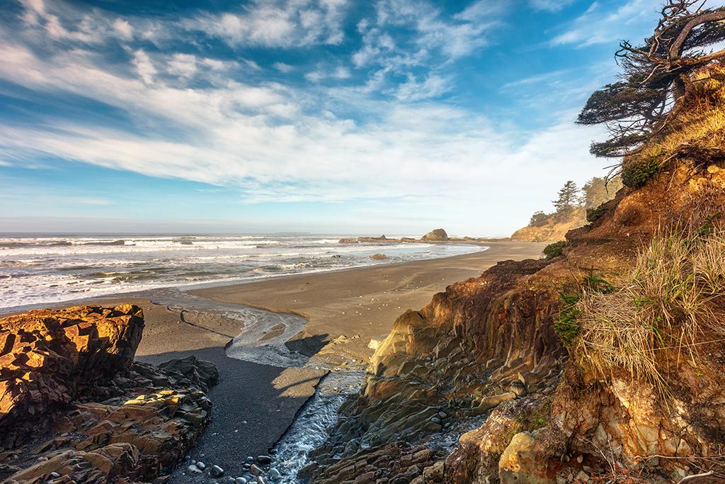 A view of Beach 4, Olympic National Park / Rebecca Latson