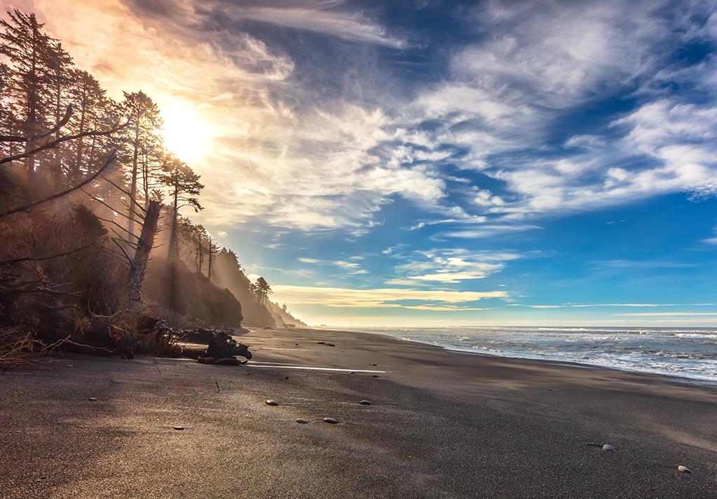 A Beach 4 southern view in the winter, Olympic National Park / Rebecca Latson