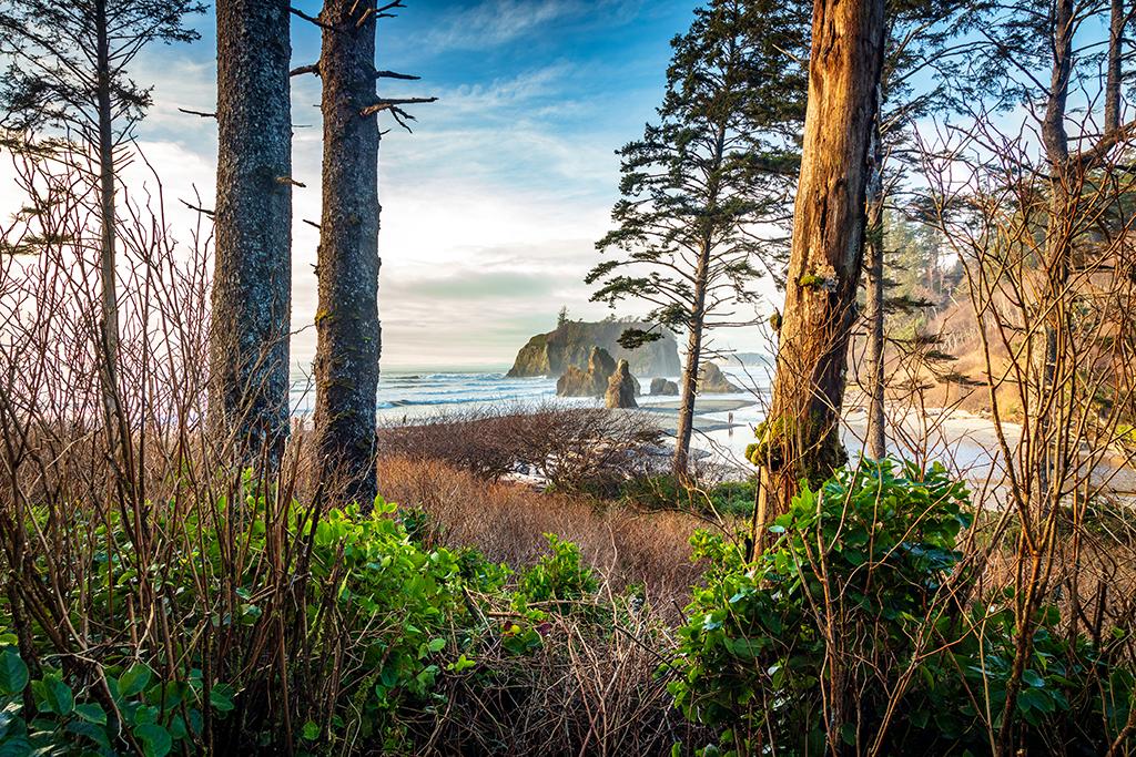 A view of Ruby Beach, Olympic National Park / Rebecca Latson