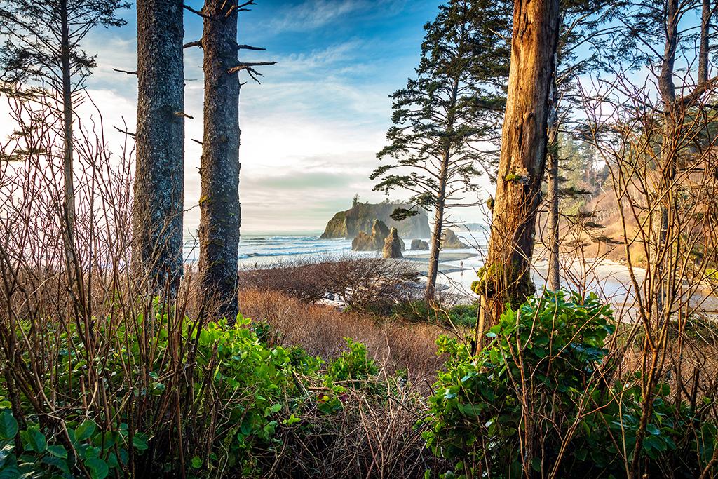 A winter view of Ruby Beach, Olympic National Park / Rebecca Latson