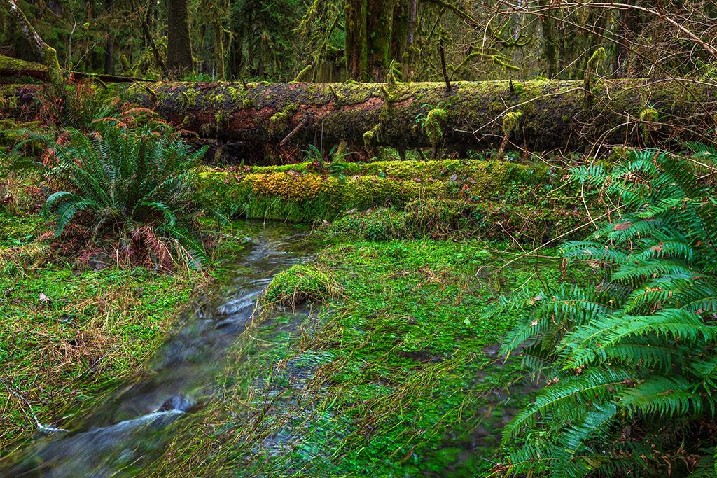 Photography In The National Parks A Winter Shutdown Stay In
