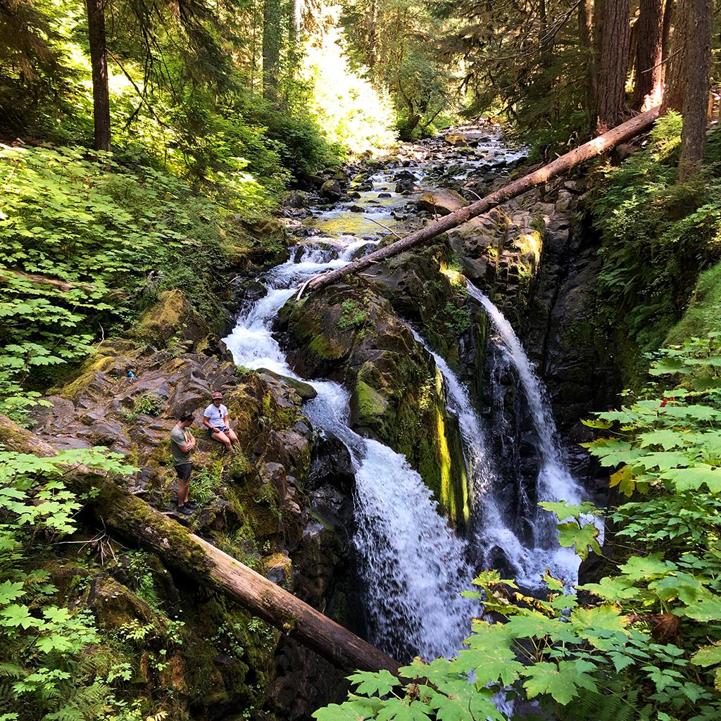 Getting kind of close to Sol Duc Falls, Olympic National Park / Rebecca Latson