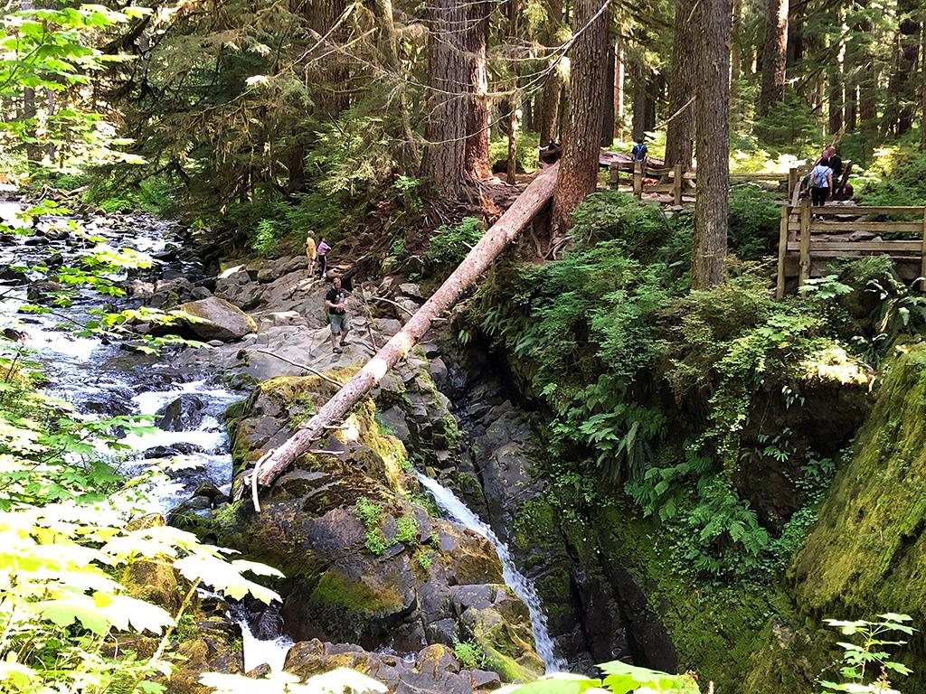Venturing off trail at Sol Duc Falls, Olympic National Park / Rebecca Latson