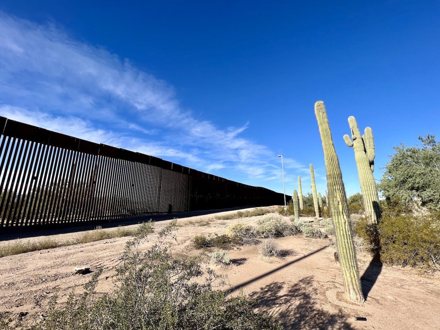 Saguaro cacti face the border wall that runs along the southern boundary of Organ Pipe Cactus National Monument where Arizona meets Mexico.