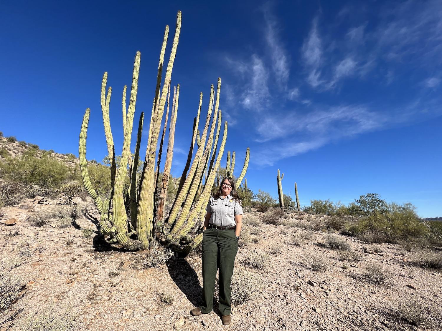 Organ Pipe Cactus National Monument's Jessica Pope stands in front of an organ pipe cactus along South Puerto Blanco Drive.