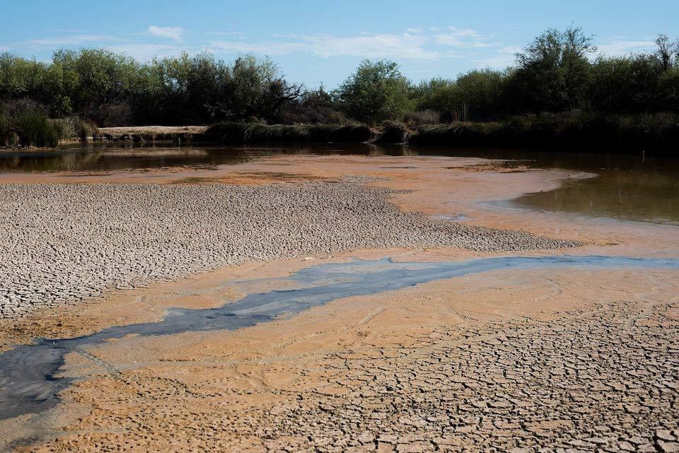 This is how Quitobaquito pond appeared on July 18, 2020/Alisa Reznick, Arizona Public Media