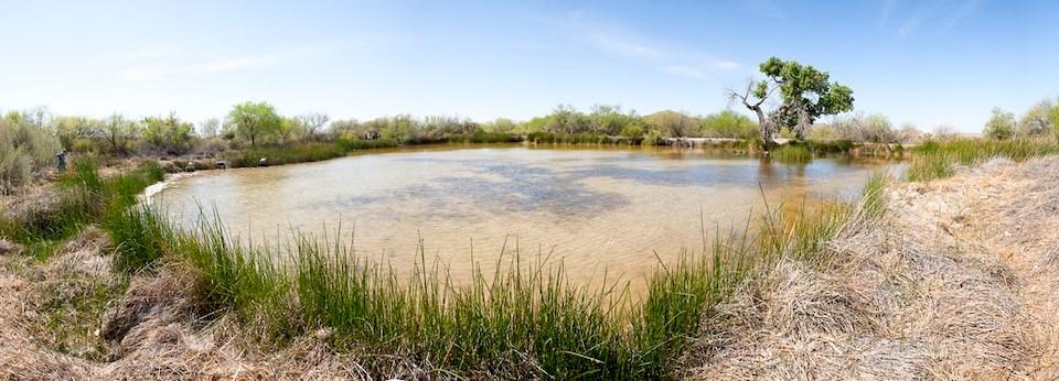 Bone fragments were found near Quitobaquito Springs during preparation for border wall construction/NPS
